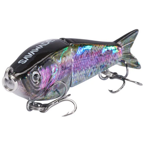 Fishing Lures