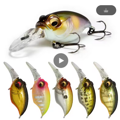 Fishing Lures