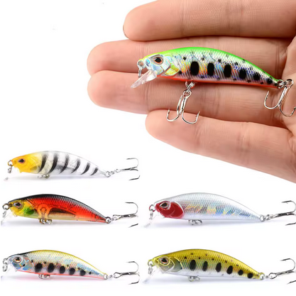 Fishing Lures