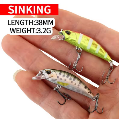 Fishing Lures