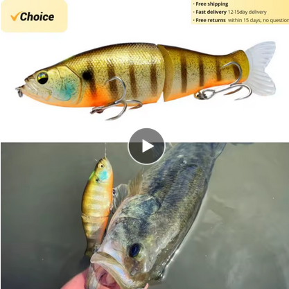 Fishing Lures