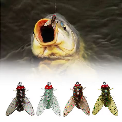 Fishing Lures