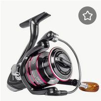 Spinning Reels