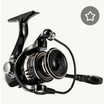 Spinning Reels
