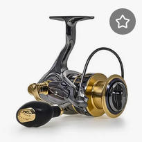Spinning Reels
